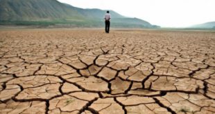 Los efectos del cambio climático "durarán milenios", advierten expertos