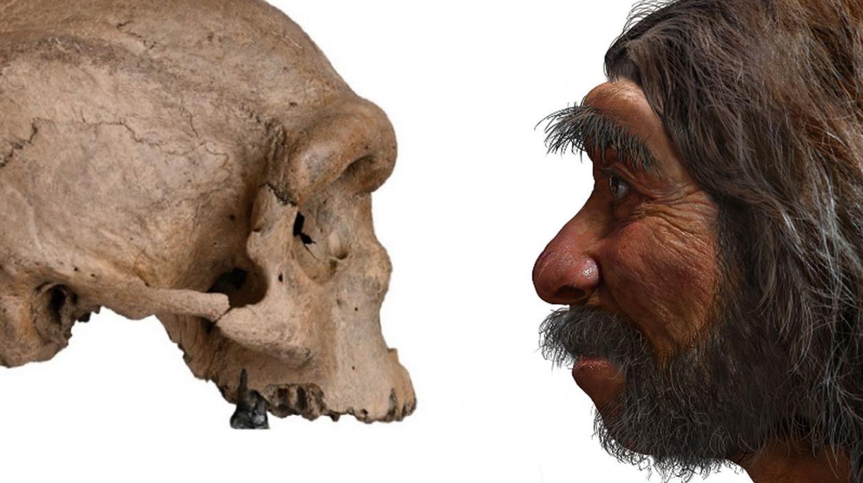 El Homo Sapiens mostró gusto por el marisco y el pescado hace 15.000 años